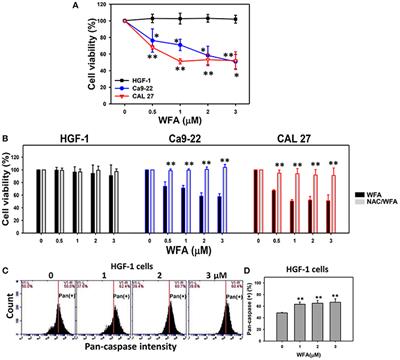 Withaferin A Induces Oxidative Stress-Mediated Apoptosis and DNA Damage in Oral Cancer Cells